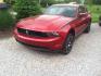 2010 MUSTANG GT SPEC IRON